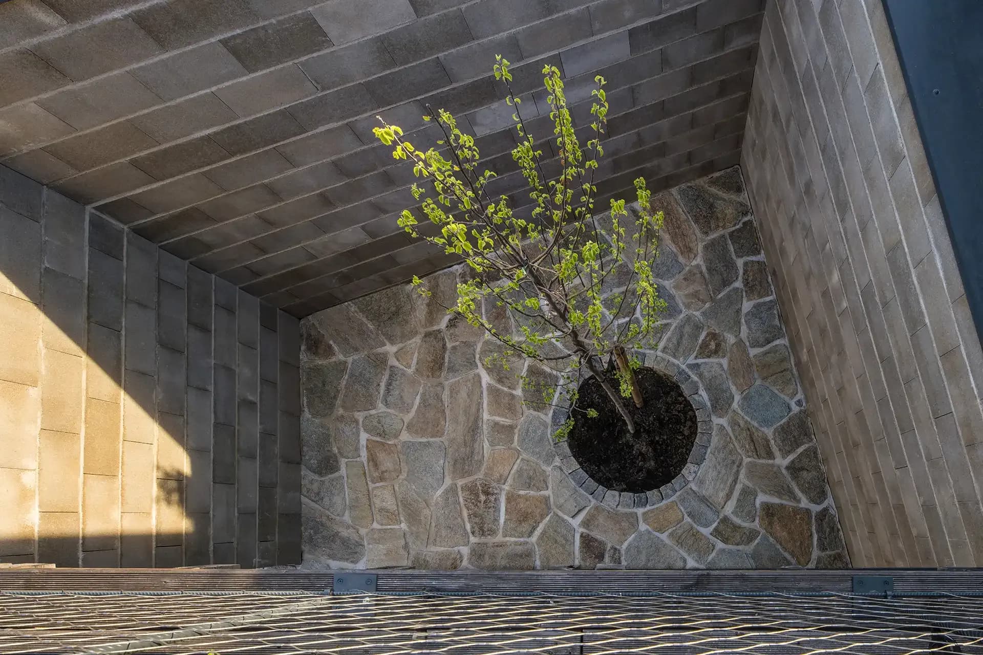 Dům bez zahrady | boq architekti