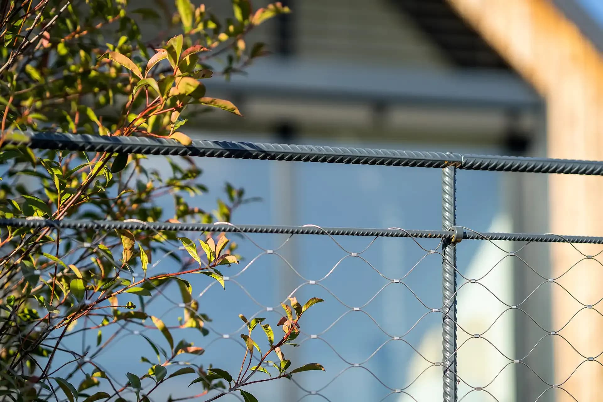 Dům bez zahrady | boq architekti