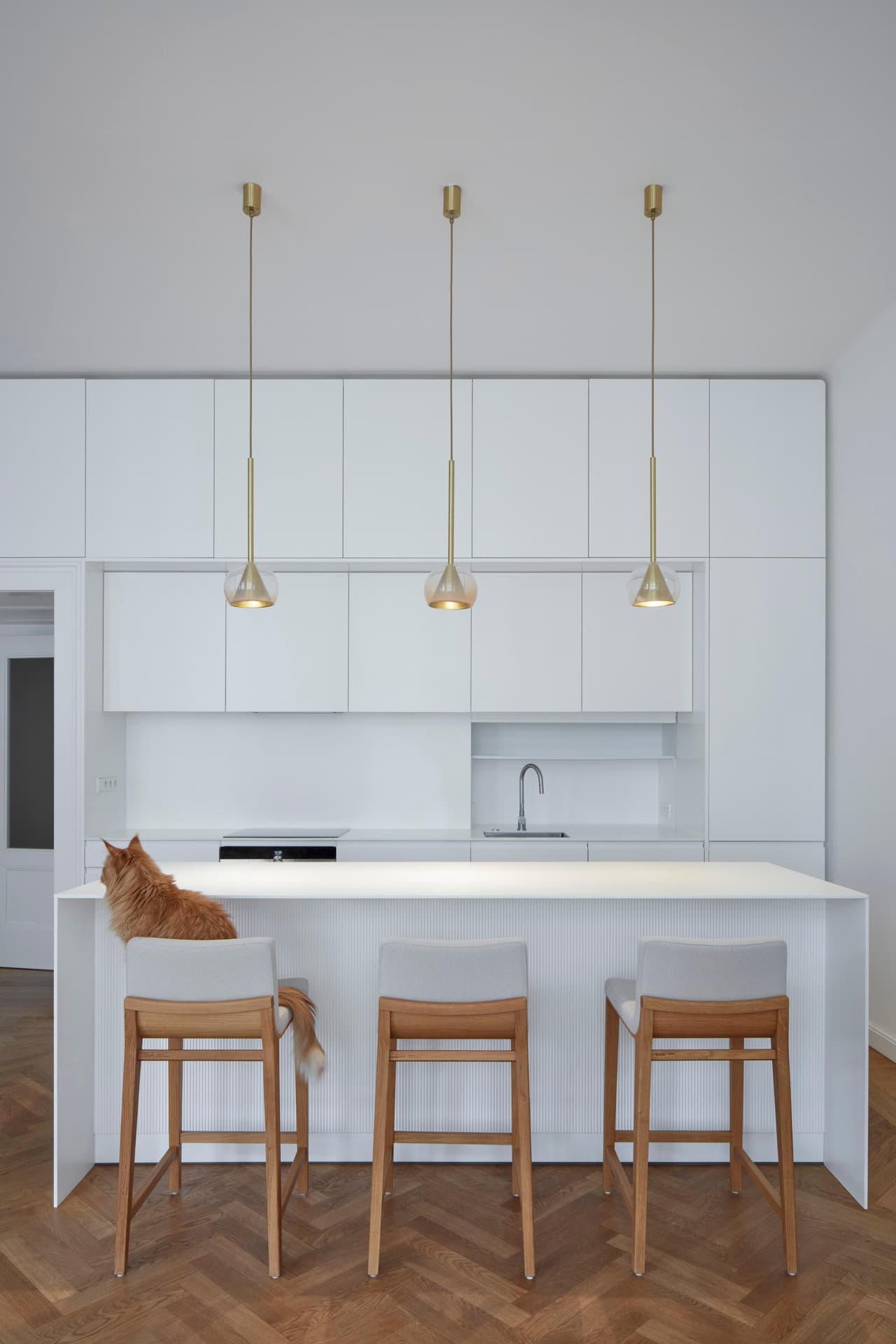 Byt u židovského hřbitova | RDTH architekti