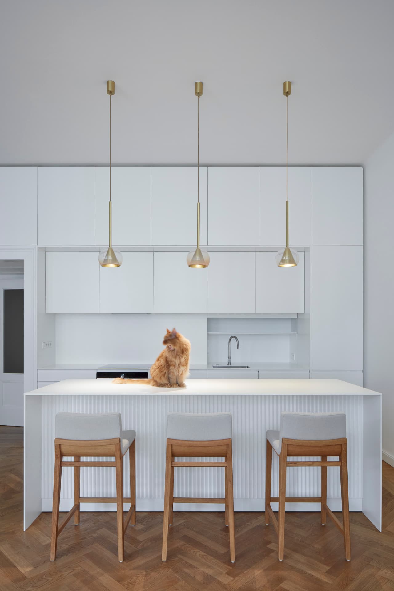 Byt u židovského hřbitova | RDTH architekti